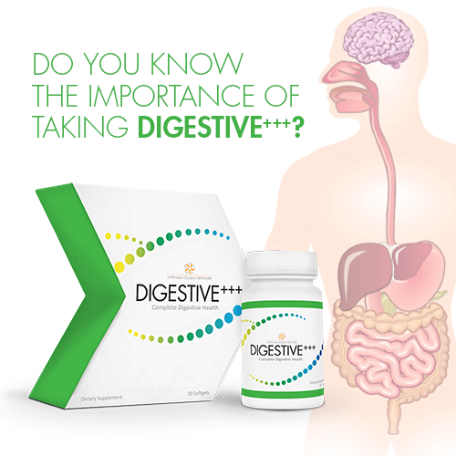 Taking DIGESTIVE+++ is vitally important.