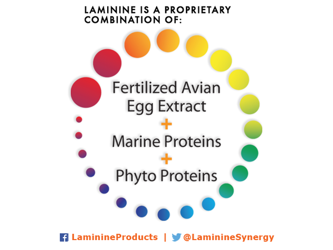 OPT9 Proprietary Laminine Formula